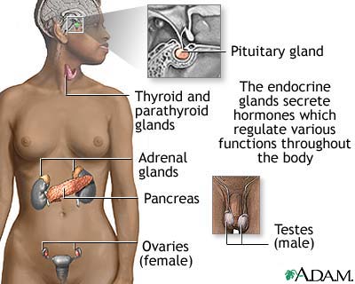  and parathyroid gland (neck), as well as tumors of 