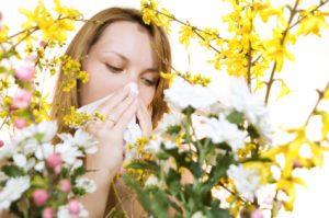 prevent hay fever