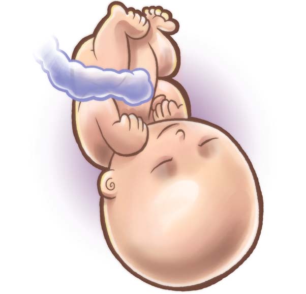 Смайлик малыш в животике шевелится. Как шевелится плод на 19 неделе. 4 Месяц как шевелится ребенок. Нелепые позы малышей внутри живота.