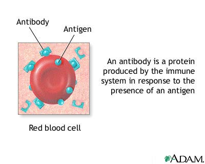 http://www.health32.com/wp-content/uploads/2010/11/antibodies.jpg