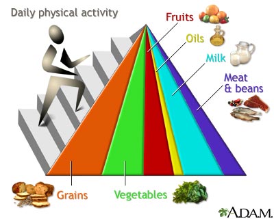http://www.health32.com/wp-content/uploads/2010/12/food-guide-pyramid-1.jpg